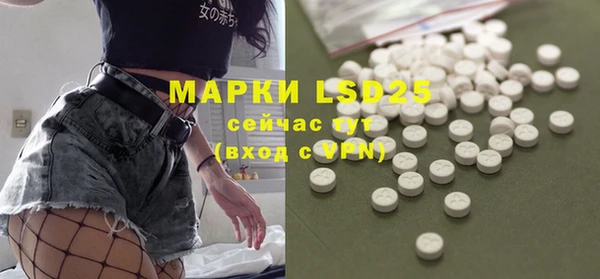 амф Вяземский