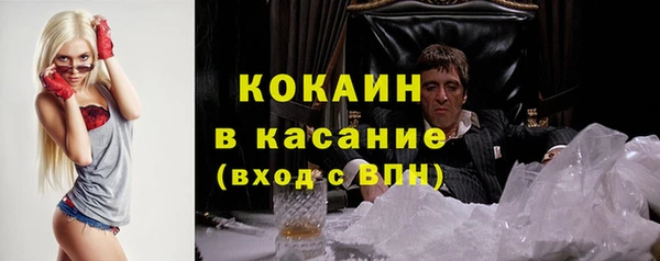 амф Вяземский