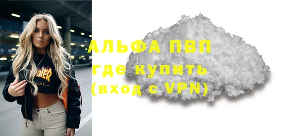 амф Вяземский