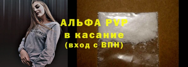 амф Вяземский