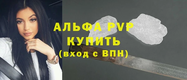 амф Вяземский