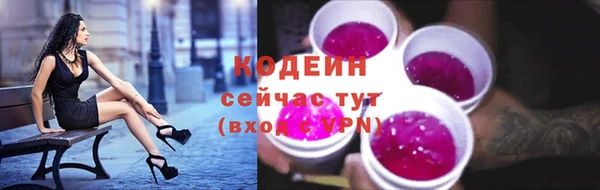 амф Вяземский