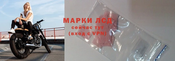 амф Вяземский