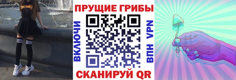 даркнет клад цена наркотик Нестеровская Галлюциногенные грибы MAGIC MUSHROOMS