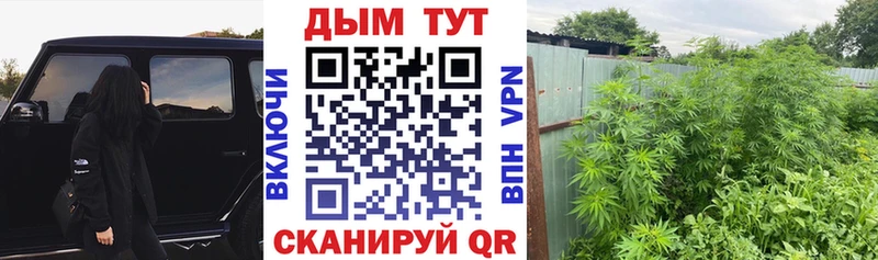 Бошки марихуана Ganja  omg ТОР  Нестеровская  закладки 